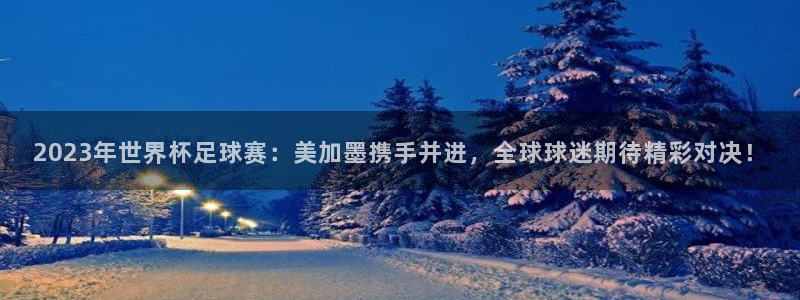 2023年世界杯足球赛：美加墨携手并进，全球球迷期待精彩对决！