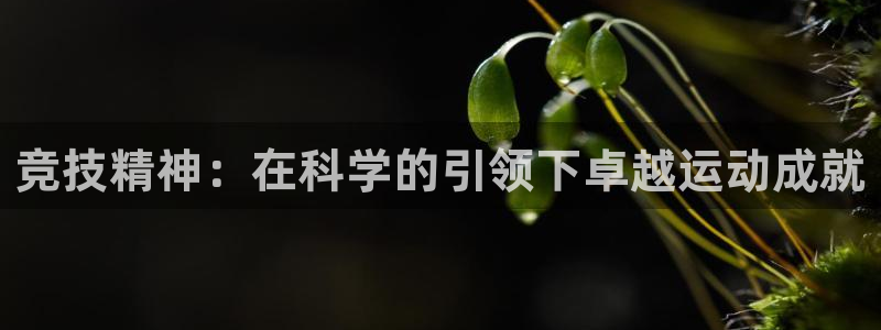 竞技精神：在科学的引领下卓越运动成就